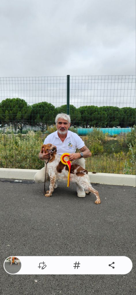 CH. Tania Des Vallees Du Roussillon